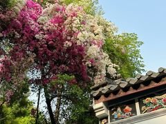 -深圳国际园林花卉博览园