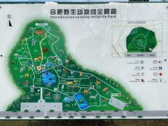 -合肥野生动物园