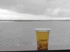 -抱抱地球咖啡馆(国家海洋博物馆店)