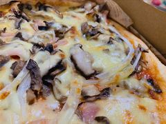 -百好乐宠物友好餐厅(朝外大街店)