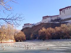 -宗角禄康公园