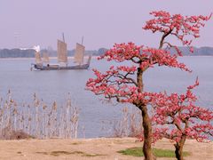 -光福景区