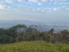 -黄埔油麻山森林公园