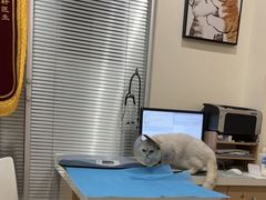 -美迦爱-牙专科·兔科·骨科诊疗中心(北苑店)