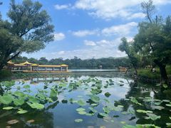 -承德避暑山庄景区