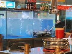 -本炙炭烤·蒲烧活鳗料理店(金沙洲店)