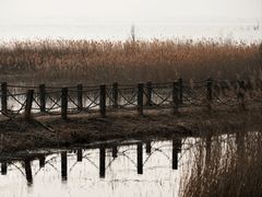 -野鸭湖国家湿地公园