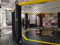 -FLARE STAR FITNESS(复地活力城店)