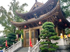 -上海东林寺(金山区)
