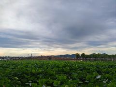 -北山街历史文化街区