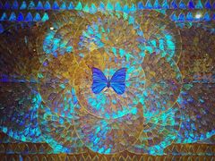 -上海昆虫博物馆