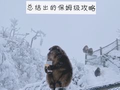 -峨眉山风景名胜区