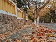 -八大关景区
