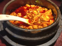 -陈麻婆豆腐总店
