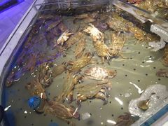 -澜悦港海鲜体验主题餐厅