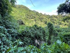 -梧桐山风景名胜区