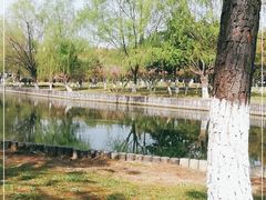 -中央公园(苏州工业园区)