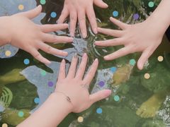 -花水湾第一村温泉大酒店