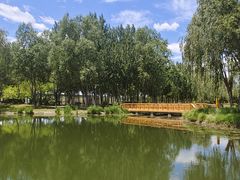 -东郊湿地公园