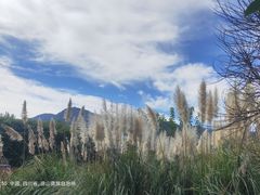 -西昌邛海湿地