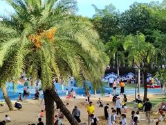 -宝安西湾红树林湿地公园