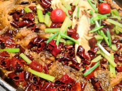 -老板恋上鱼(荣盛广场店)