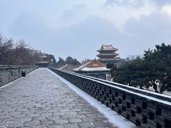 -北陵公园