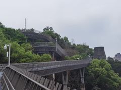 -福道
