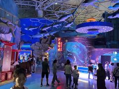 -烟台海昌鲸鲨海洋公园
