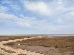 -南汇嘴观海公园