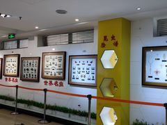 -上海昆虫博物馆