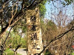 -万寿八仙宫