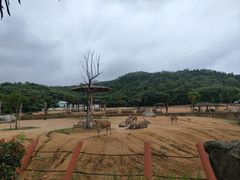-杭州野生动物世界