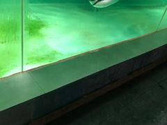 -北戴河圣蓝海洋公园