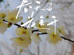 -上海滨江森林公园
