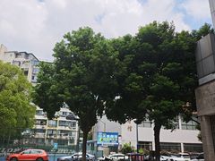 -中天钢铁体育馆(南一门店)
