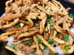 油茶-五大金刚(九街店)