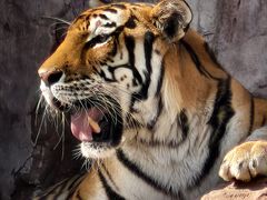 -鄂尔多斯野生动物园