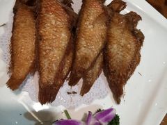 -金穗园·砂锅粥.醉鸡煲火锅(长寿路店)