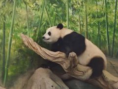 -武汉动物园