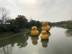 -上海海湾国家森林公园