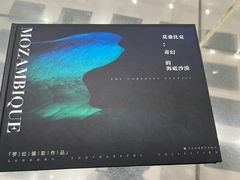 -罗红摄影艺术馆