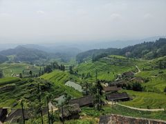 -紫鹊界梯田景区