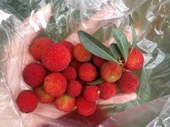 -野妹经典火锅(江夏中百店)