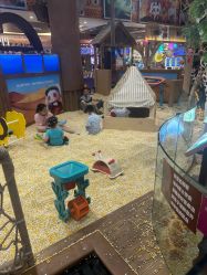 -卡通尼·Safari非洲探索乐园·生日会(金桥国际商业广场店)