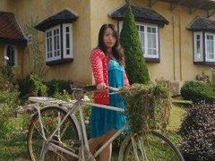 -黄色小屋