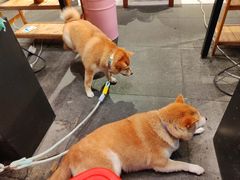 -冯校长老火锅(广州正佳广场店)