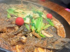 -老板恋上鱼(振华商厦店)