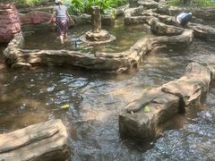 -三水森林公园