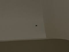 -苏州盘门景区人民桥南地铁站亚朵X酒店